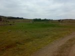 27062010275.jpg