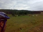 27062010277.jpg