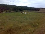 27062010278.jpg