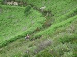 IMG_9383.JPG