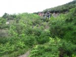 IMG_9372.JPG