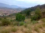 27062010273.jpg