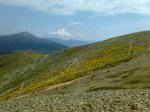 260620105569.jpg