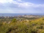 27062010229.jpg