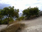27062010240.jpg