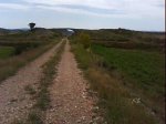 DSC00333.jpg