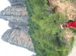 SL272815.JPG