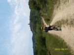 SL272832.JPG