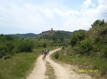 SL272830.JPG