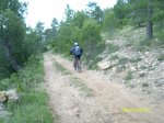 SL272876.JPG