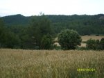 SL272886.JPG