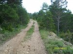 SL272869.JPG