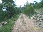 SL272870.JPG
