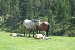 IMG_0006.JPG