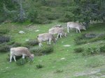 IMG_0093.JPG