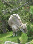 IMG_0066.JPG