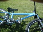 DSCF1519.jpg