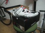 Specialized (2).jpg