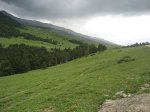 IMG_4529.JPG