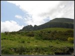 IMG_3019.jpg