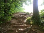 28062010286.jpg