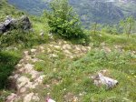 28062010300.jpg
