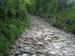 28062010289.jpg