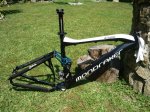 toro 010 [ResoluciÃ³n de Escritorio].jpg