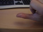 DSC01137.jpg