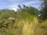 Imagen024.jpg