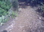 Imagen025.jpg