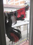 IMG_1383.JPG