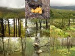 01_OtoÃ±oEnLaSierra-Madrid_LowQ.jpg