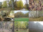 03_OtoÃ±oEnLaSierra-Madrid_LowQ.jpg