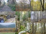 04_OtoÃ±oEnLaSierra-Madrid_LowQ.jpg