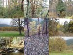 06_OtoÃ±oEnLaSierra-Madrid_LowQ.jpg