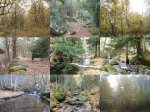 07_OtoÃ±oEnLaSierra-Madrid_LowQ.jpg
