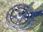 bici 015.JPG