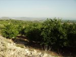 kdd xativa-11.jpg