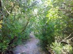 29062010159.jpg