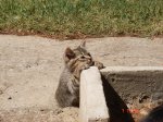 DSC06242.JPG