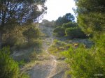 DSCN1709.jpg
