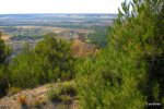 DSCN1708.jpg