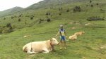 DSC02168.jpg