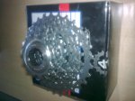 30062010_002cast.jpg