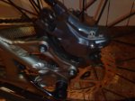 DSC00254.jpg