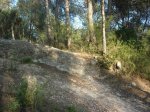 DSCN5651.jpg