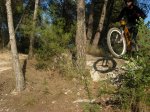 DSCN5647.jpg
