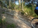DSCN5652.jpg