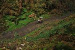100425_GBR_Dalby_XC_Men_Kaes_Woods_Singletrail_by_Kuestenbrueck.jpg